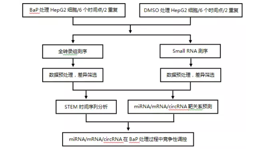 高通量测序分析circrna的cerna作用