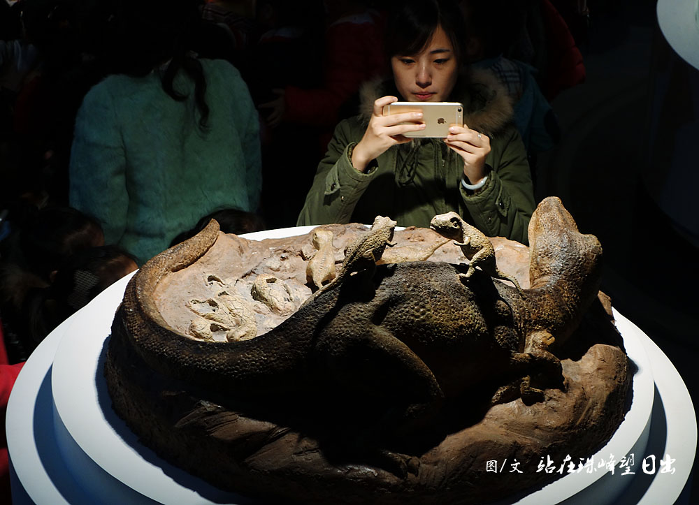 国际博物馆日看重庆自然博物馆北京自然博物馆