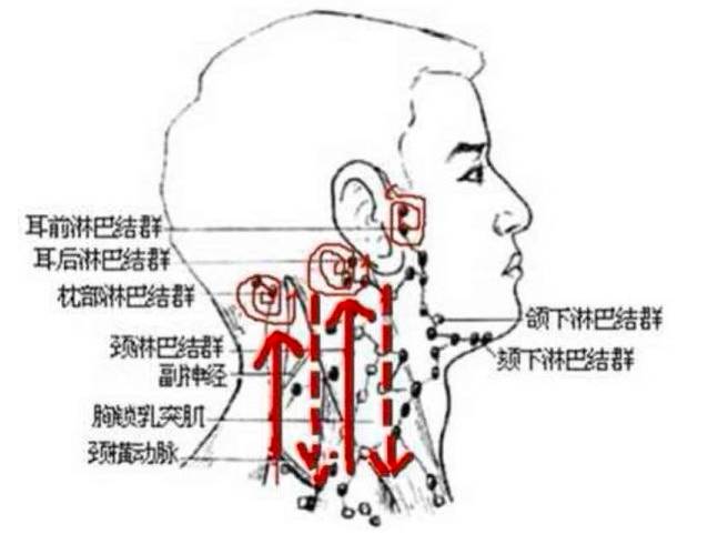 如新ageLOC修身美颜Spa机使用手法