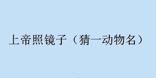 超好玩有趣的猜谜语大全,既涨知识,又能增加你和孩子之间的互动!