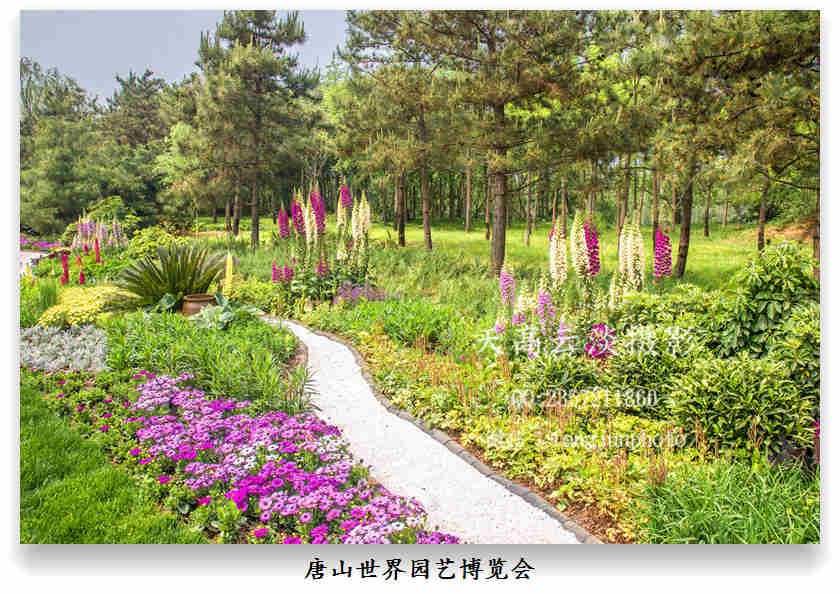 唐山世园会,国际花境景观展
