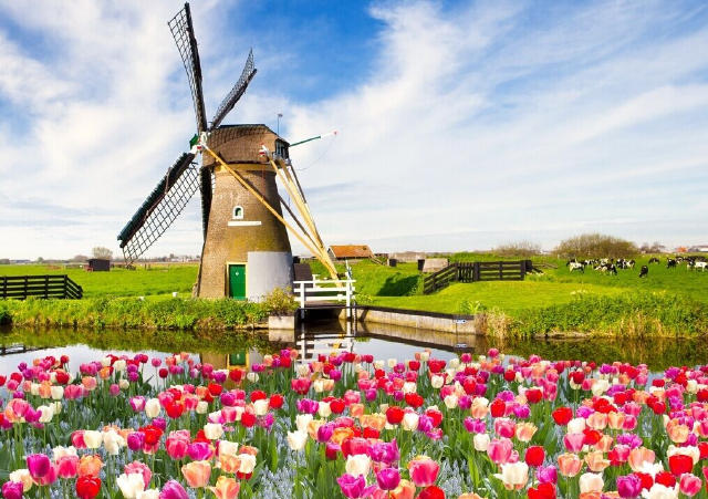 风车之国 荷兰 荷兰旅游风景壁纸