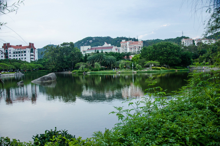 厦大芙蓉湖:中国四大最美高校的山水湖