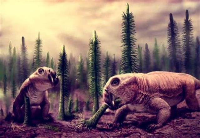 史前地球被一群猪主宰了100万年,还算是人的祖先