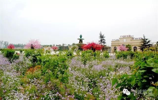 初夏时节到邹城怎么游孟子故里文化休闲游线路