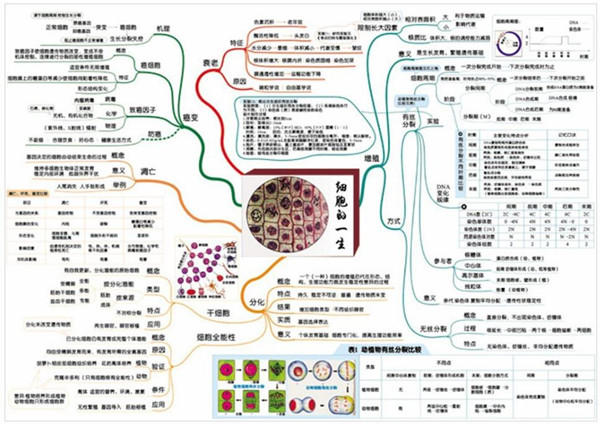 人口生物学_人口普查图片(3)