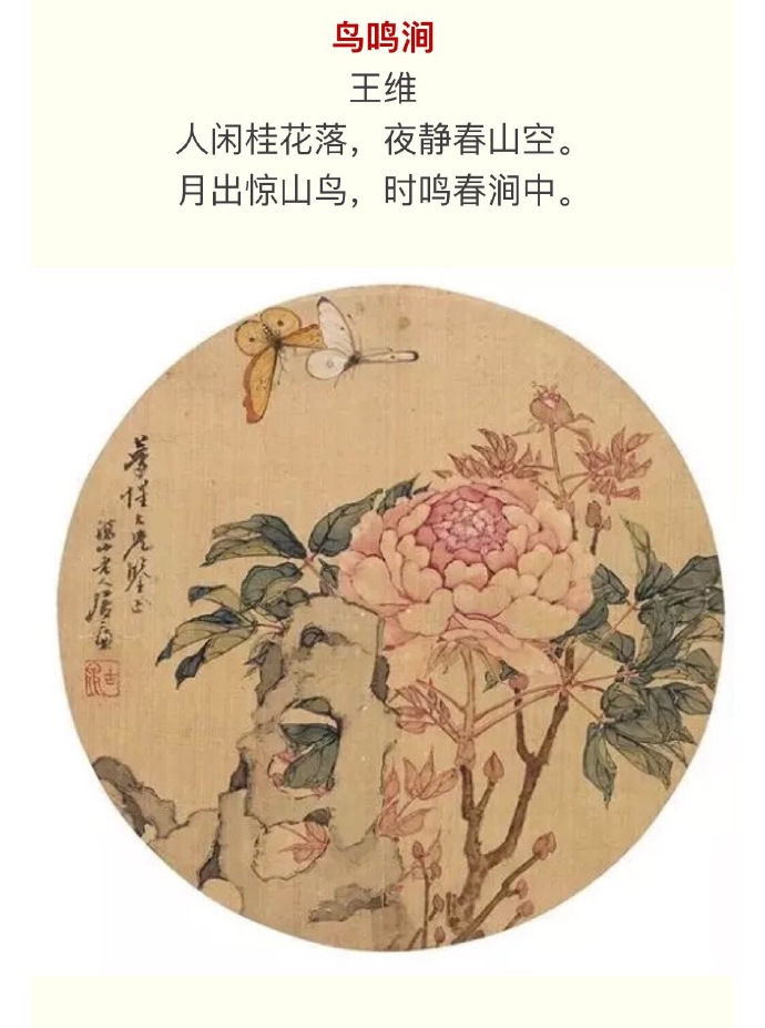 中国九大名花 咏花诗,惊艳珍藏.