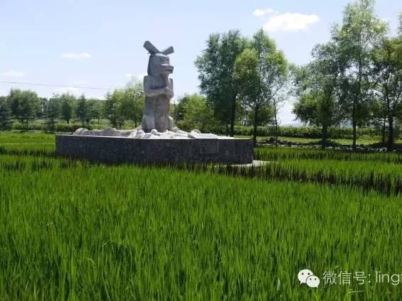 千馀年前渤海国大唐贡米,响水大米的珍稀