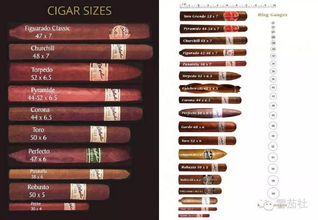 雪茄形状和尺寸的艺术