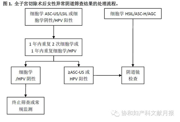 阴道细胞学异常与hpv检测:临床处理的两难