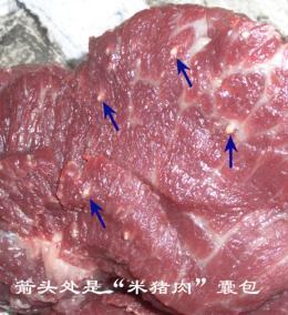 如何预防绦虫病呢?1,禁止出售含有囊尾蚴的猪肉和牛肉.