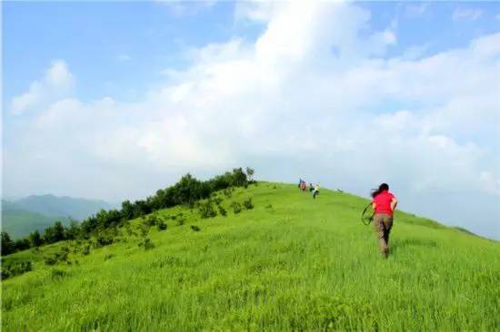 4,御道口草原森林风景区