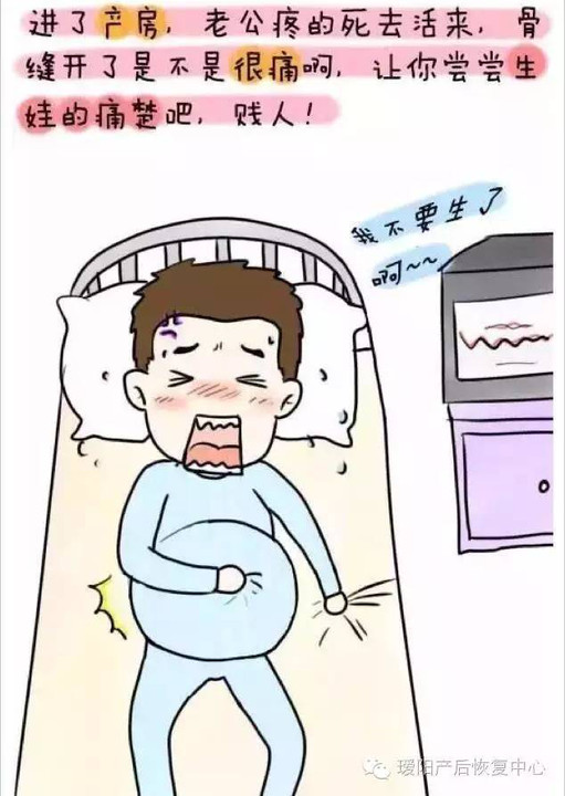 假如爸爸也能怀孕