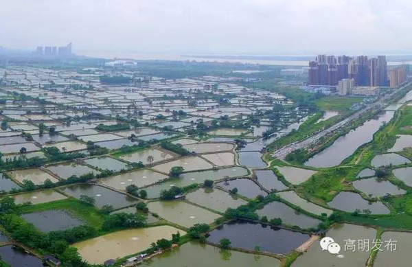 简阳市望水乡多少人口_人与自然水乡篇图片(2)