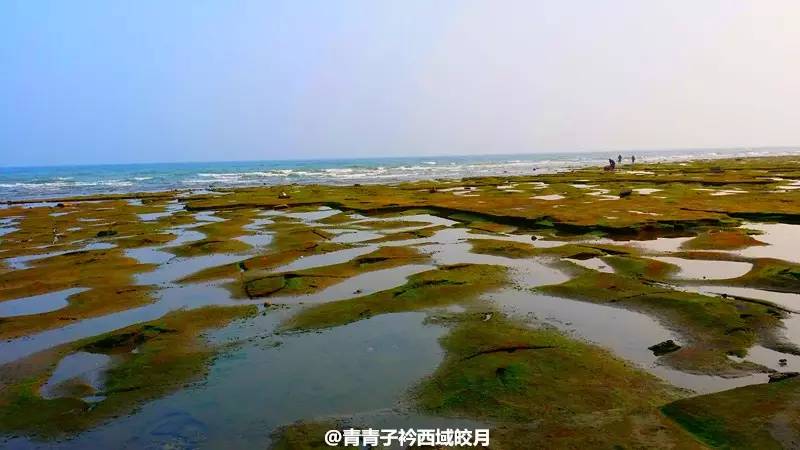 涠洲岛,位于广西位于北海北部湾海域中部,北临北海市,东望雷州半岛