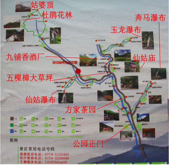 驴妈妈 旅游网讯(编辑 王树俊) 姑婆山国家森林公园 位于广西 省贺州图片