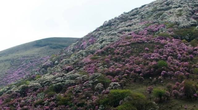 大理马耳山旅游攻略