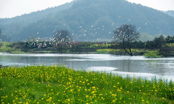 【美爆了】近千张美图带您欣赏浏阳河九道湾沿途风景|长沙网