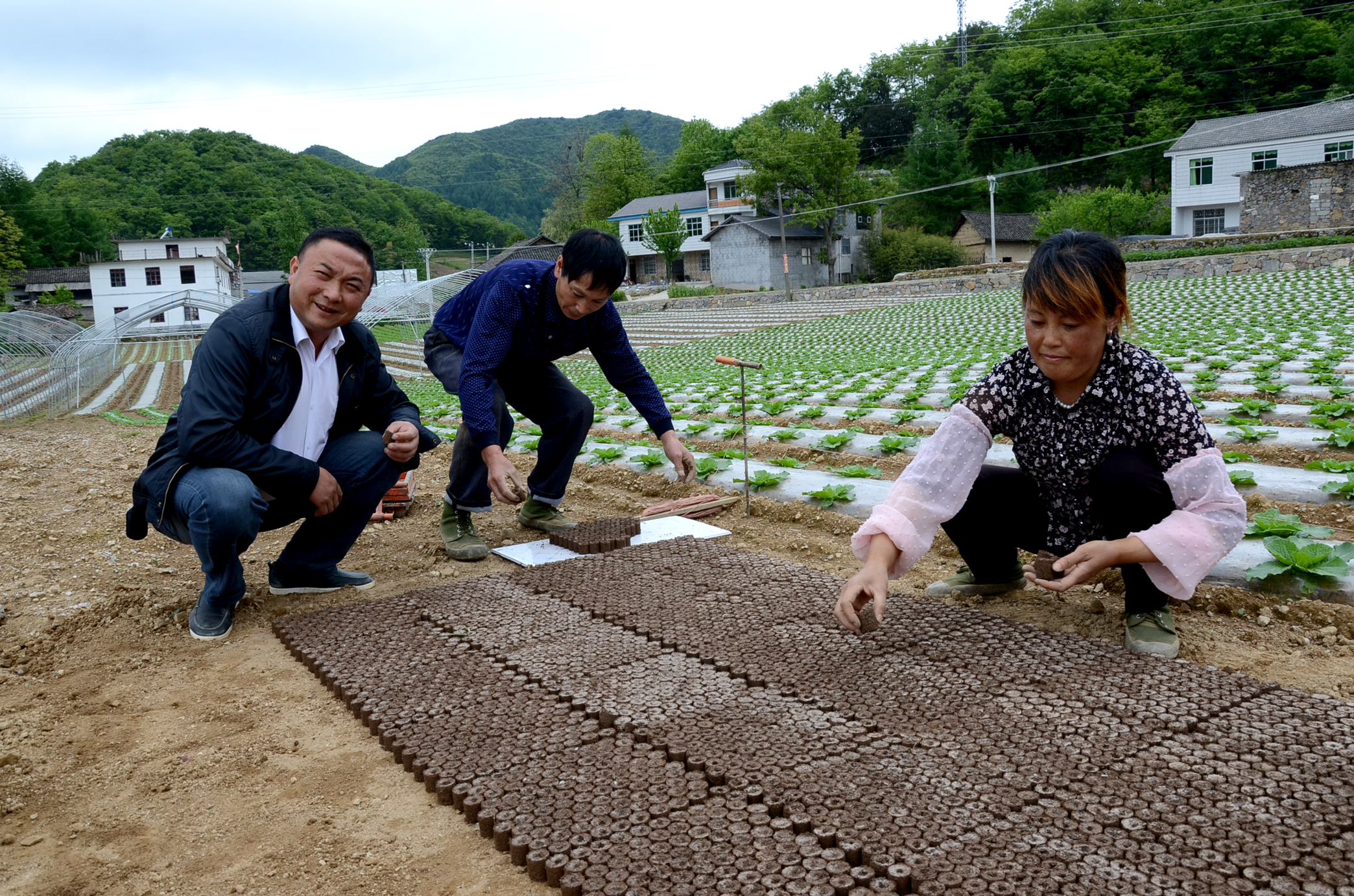 长阳榔坪镇文家坪村农民赶制蔬菜营养钵文家坪村位于海拔1200米至1800