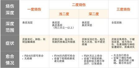 目前医学上烧伤深度的判定较普遍采用三度四分法.