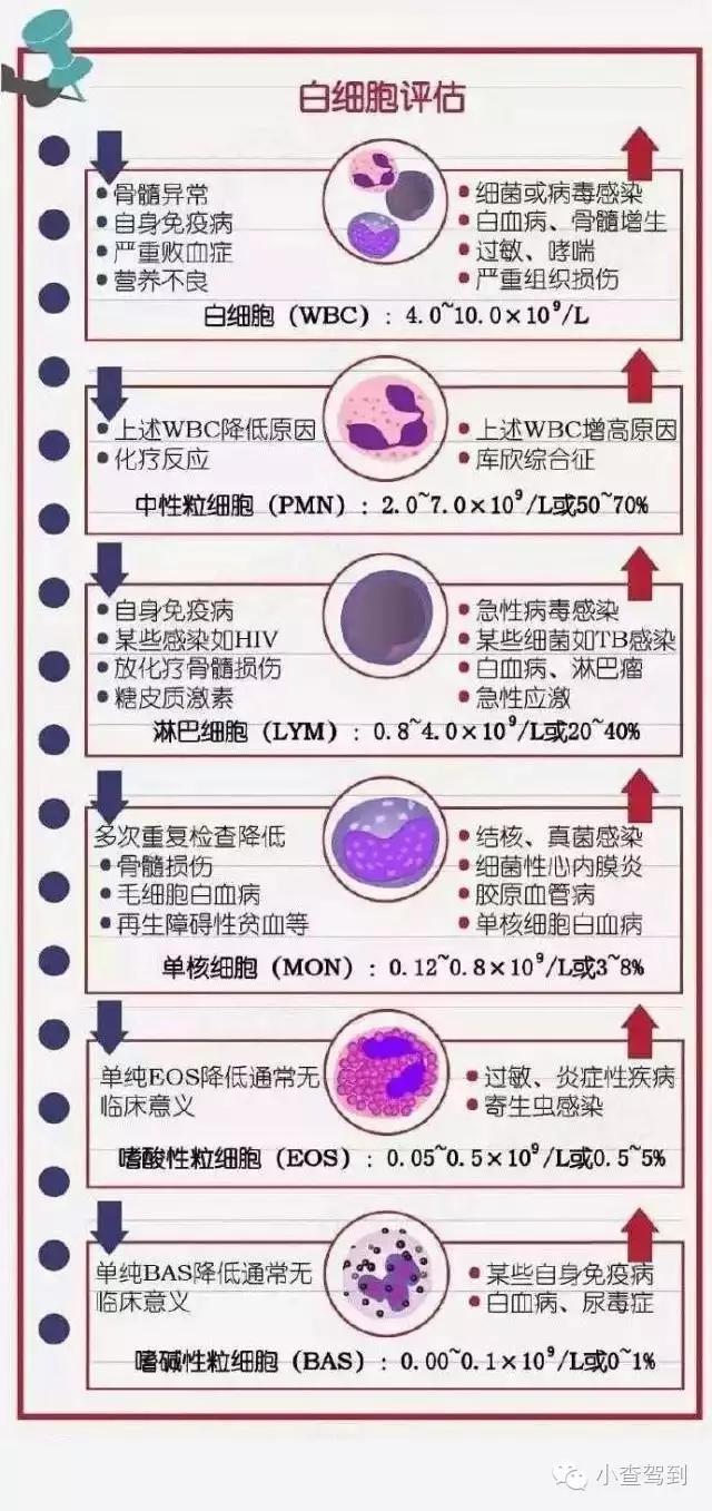 读懂血常规:最简单且最重要的血液检查