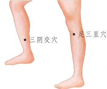 功效:足三里除具有调理脾胃,疏风化湿功能,还能补中益气