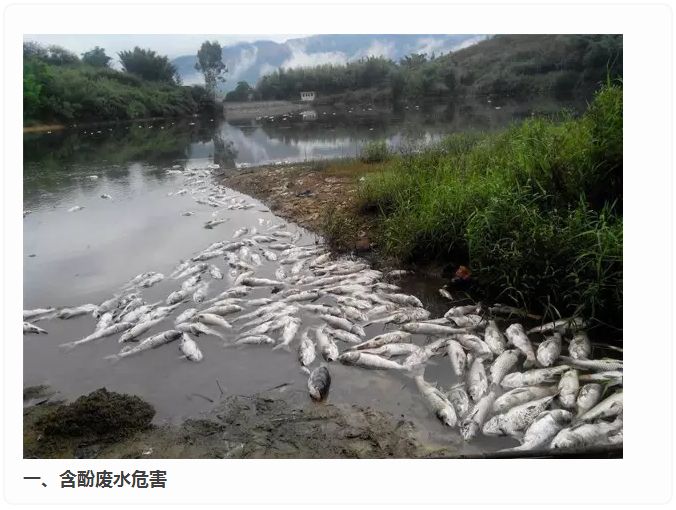 【水污染】工业废水的危害-搜狐