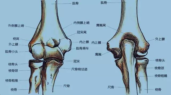 夯实基础:肱骨髁上骨折之诊断篇