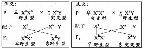 纯干货:高考生物的答题规范与技巧