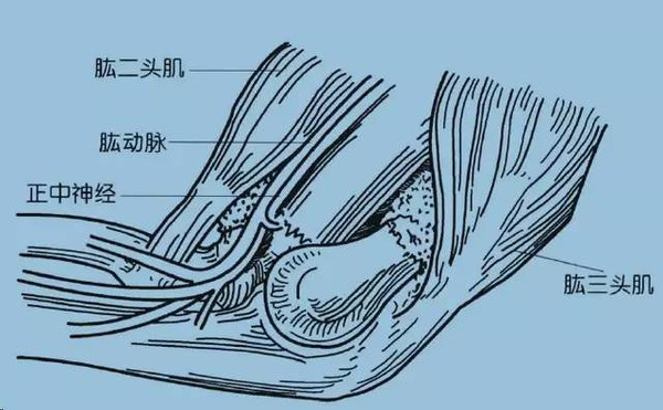 夯实基础肱骨髁上骨折之诊断篇