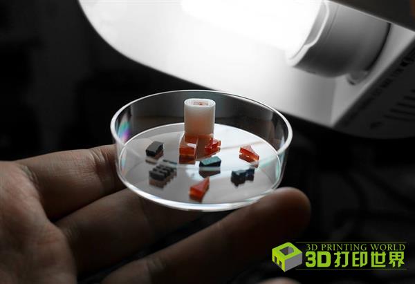 3D打印药片新突破:自定义药物释放速率意义何