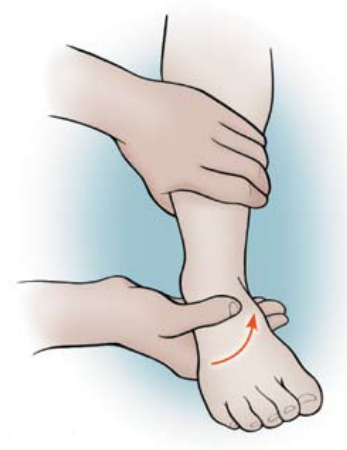 急性踝扭伤(acute ankle sprain)的原理及应对措