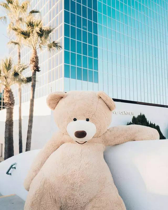 他们带着这只巨型泰迪熊游遍各地