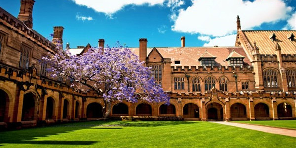 悉尼大学世界排名是多少?