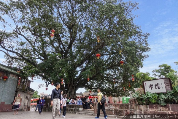 东莞市茶山镇各村委会人口_东莞市茶山镇各村地图(3)