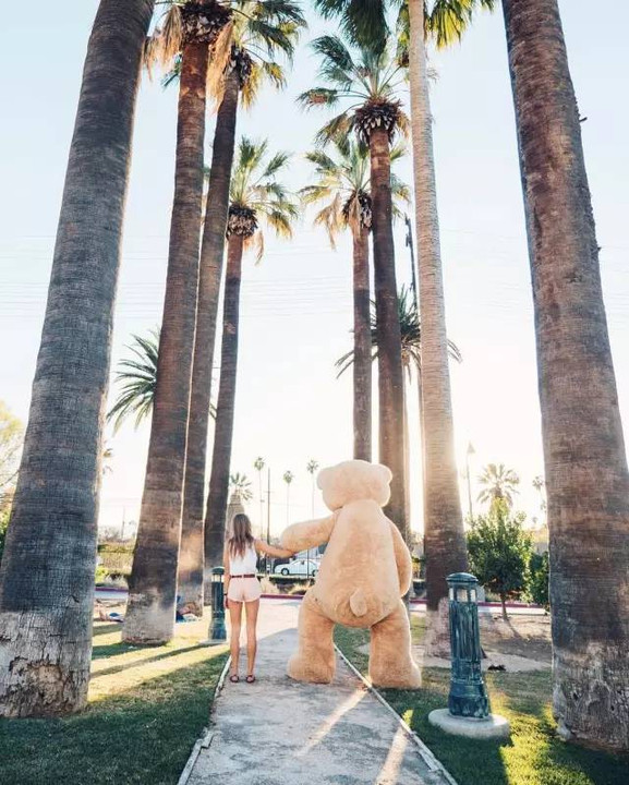 他们带着这只巨型泰迪熊游遍各地