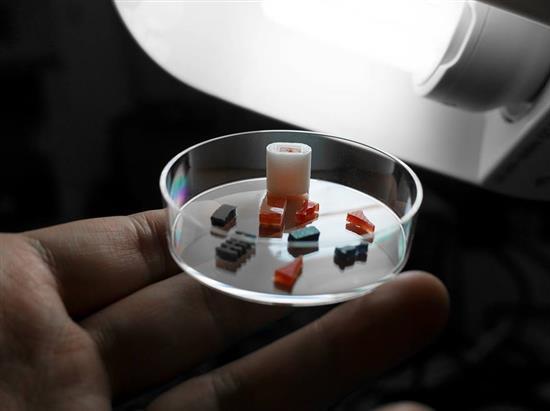 3D打印药片新突破:自定义药物释放速率意义何
