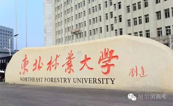 黑龙江省985、211、小985、小211大学名单!好大学都在这!多少分能进?-搜狐