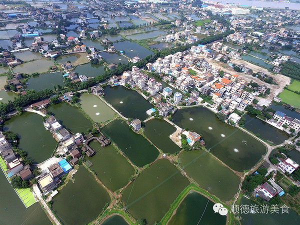 简阳市望水乡多少人口_人与自然水乡篇图片(2)