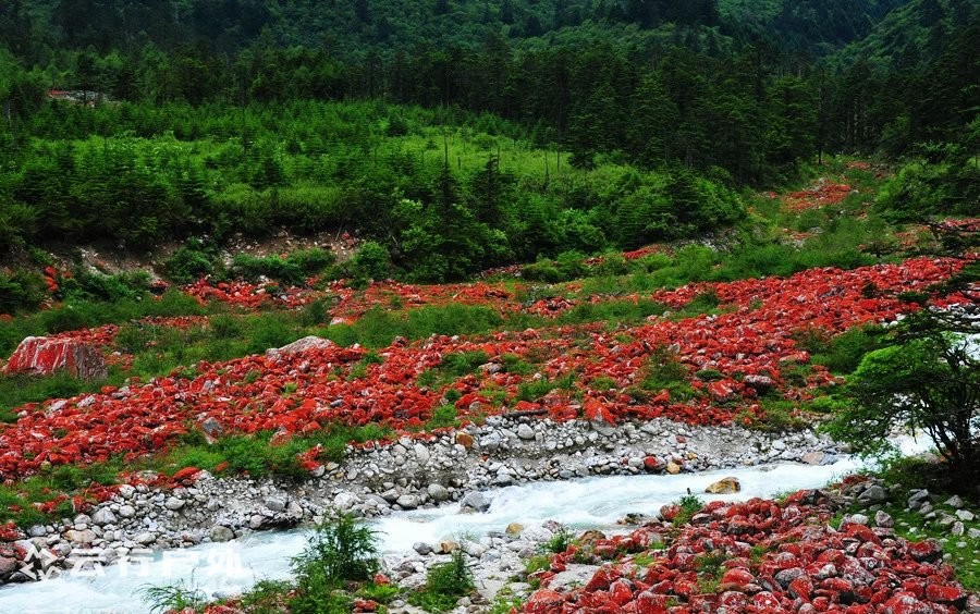 四川贡嘎雪山下的海螺沟红石滩川藏线系列图文