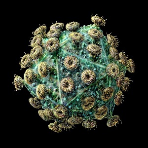 HSV HPV HIV一个比一个厉害,你知道都是什么