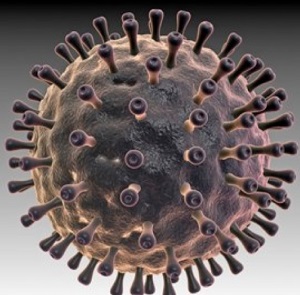 HSV HPV HIV一个比一个厉害,你知道都是什么