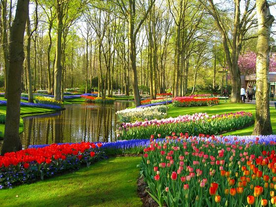 荷兰旅游必须去的美景
