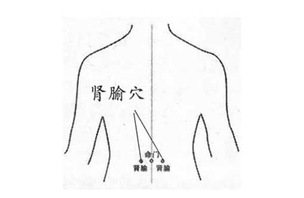 男人几个强肾方法技巧归纳