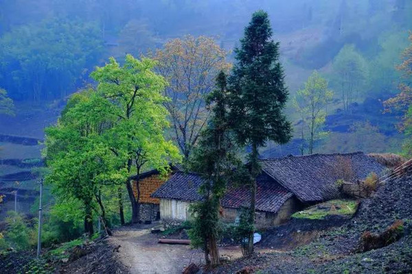 一年四季,纯粹得不能再纯粹的风景,全藏在这个大山深处的世外桃源中.