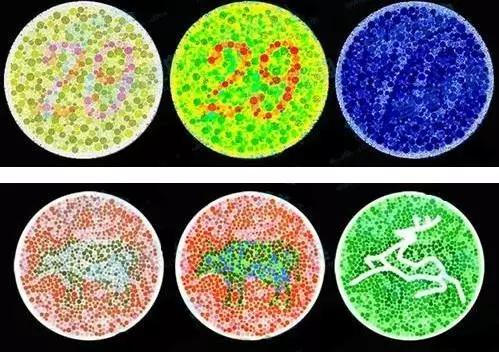 教育 正文 大家都知道学车前要体检,kk先给你来一组普通的色盲色弱