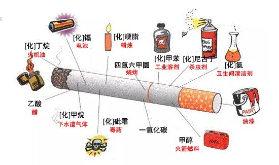 世界无烟日你远不知道15年30年烟肺的恐怖