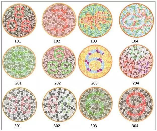 教育 正文  大家都知道学车前要体检,kk先给你来一组普通的色盲色弱