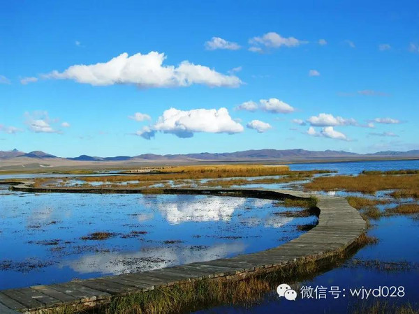 中国最美花湖,若尔盖大草原3日游玩攻略