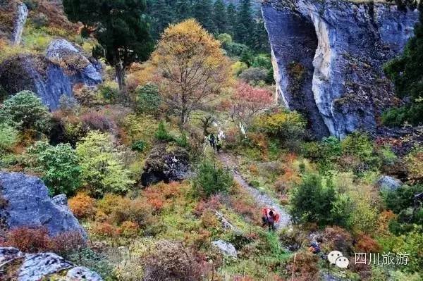 【乡村旅游周末版】绵阳周边的香格里拉,比九